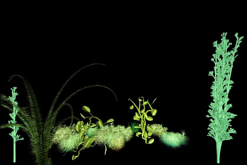The Artwork As A Living System
